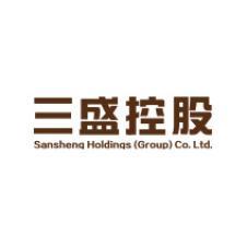 三盛控股:預期無法于3月底前刊發經審核年度業績